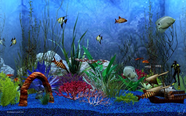 Anime Widescreen Hd Wallpaper - Anime Background Aquarium - 1920x1200 ...