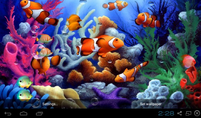 3d Wallpaper Live Fish Image Num 44
