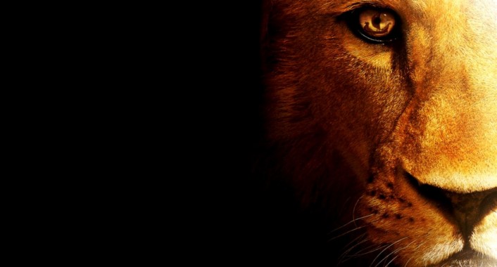 Lion Wallpapers For Desktop Desktop Lion Wallpaper Hd 1284x691 Download Hd Wallpaper Wallpapertip