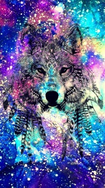 Featured image of post Galaxy Wolf Wallpapers For Chromebook Galaxy wallpapers backgrounds images best galaxy desktop wallpaper sort wallpapers by