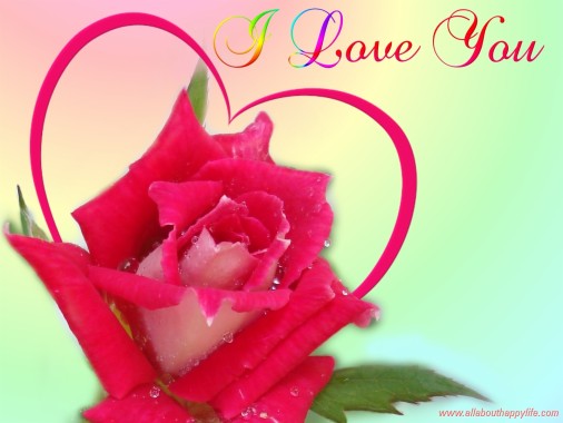 Roses I Love You Wallpaper B L O G Magazine Pictures Love You Image With Red Rose Hd 1600x10 Download Hd Wallpaper Wallpapertip