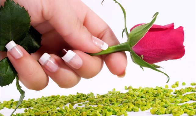 Happy Rose Day Quotes For Husband