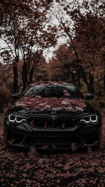 Bmw M5 Wallpaper Iphone 729x1296 Download Hd Wallpaper Wallpapertip