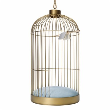 Birdcage Wallpapers, free Birdcage Wallpaper Download - WallpaperTip