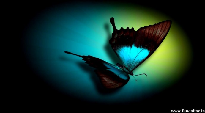 Download 3d Butterfly Wallpapers Free 3d Butterfly Wallpaper Download Wallpapertip