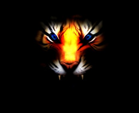 Black Tiger 3d Wallpaper Download Image Num 7