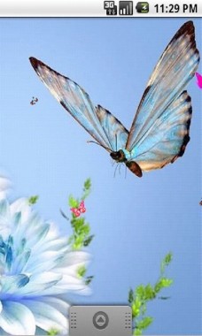 Download Neon Butterfly Live Wallpapers Download Butterfly 3d Wallpaper Download 320x480 Download Hd Wallpaper Wallpapertip