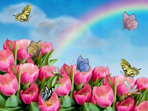 Hd Flower Mobile Wallpapers 1080p - 2048x1536 - Download HD Wallpaper ...
