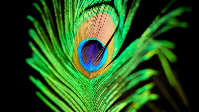 Lord Krishna Peacock Feather With Flute - 1244x1193 - Download HD