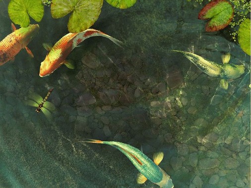 Wallpaper Animasi 3d Ikan Image Num 98