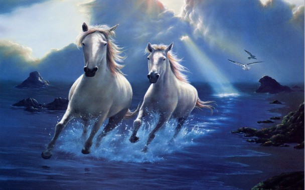 Running Horses Wallpaper Animals Hd Wallpapers Desktop - Windows 7 ...