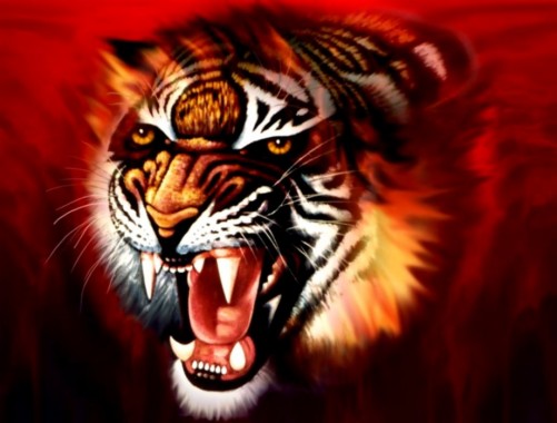 Black Tiger 3d Wallpaper Download Image Num 48