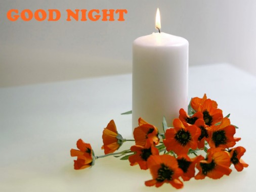 Good Night Flower Wallpapers Good Night Flowers Images, - Good Night