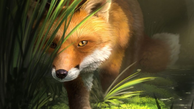 Wallpaper Fox, Grass, Art, Animal, Wildlife - Imagenes De Animales En ...