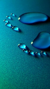 Wallpaper Mobile Water Drop Leaf 720x1280 Download Hd