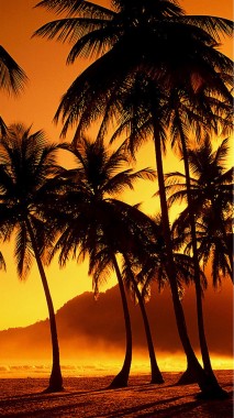 Beach Sunset Wallpaper Iphone 8 1080x1920 Download Hd Wallpaper Wallpapertip