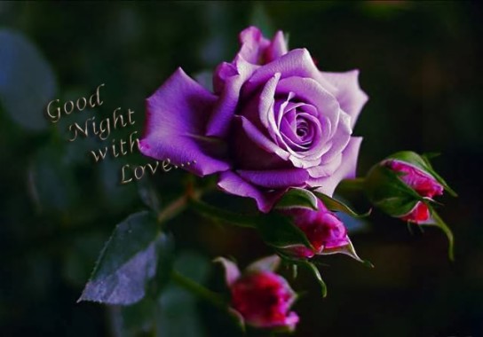 Good Night Love U Baby New Good Night Images Hd Download 640x447 Download Hd Wallpaper Wallpapertip