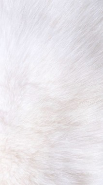 Pure White Wallpaper For Iphone White Fur Background Iphone 564x1003 Download Hd Wallpaper Wallpapertip