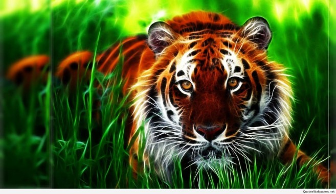 Black Tiger 3d Wallpaper Download Image Num 89