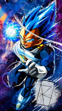 Vegeta Super Saiyan Blue Evolution - 735x937 - Download HD 