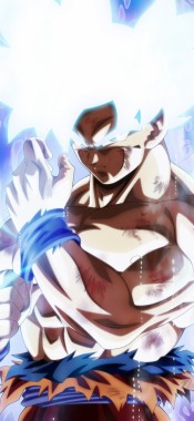 Dragon Ball Z Super Goku Ultra Instinct - 736x1222 - Download HD ...