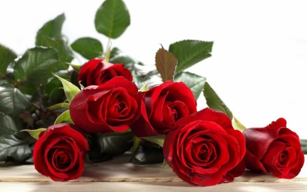 Gambar Bunga Mawar Indah Bunga Mawar Indah Dan Cantik 1000x625 Download Hd Wallpaper Wallpapertip