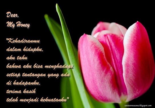 Foto Gambar Bunga Bergerak Kata Kata Tentang Bunga Tulip 871x606 Download Hd Wallpaper Wallpapertip