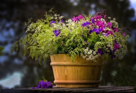 Flower Pot Wallpaper - 5472x3648 - Download HD Wallpaper - WallpaperTip