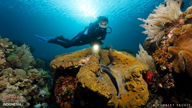 Cave Diving Mount Gambier - 1080x608 - Download HD ...