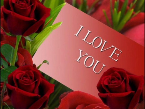I Love You Download Wallpapers Free I Love You Download Wallpaper Download Wallpapertip