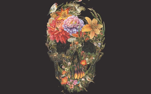 Skull Flower Wallpaper Pc - 1280x720 - Download HD Wallpaper - WallpaperTip