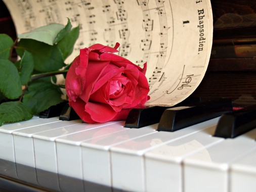 Rose Piano - 3264x2448 - Download HD Wallpaper - WallpaperTip