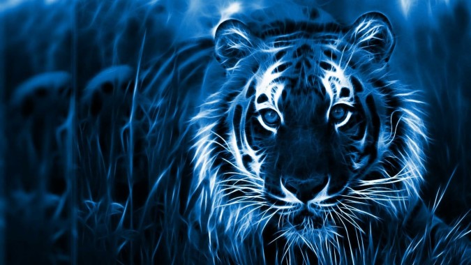 Black Tiger 3d Wallpaper Download Image Num 67