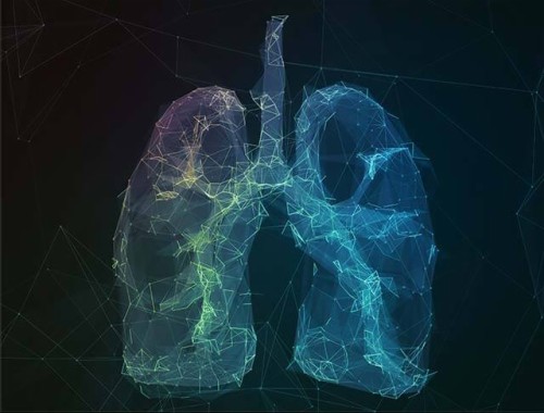 Human Lungs Abstract - 640x486 - Download HD Wallpaper - WallpaperTip