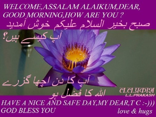 walaikum assalam wallpaper 841x960 download hd wallpaper wallpapertip walaikum assalam wallpaper 841x960