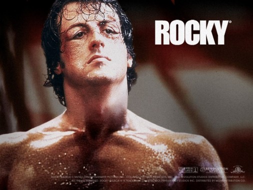 Rocky Balboa Wallpaper Hd - 750x563 - Download HD Wallpaper - WallpaperTip