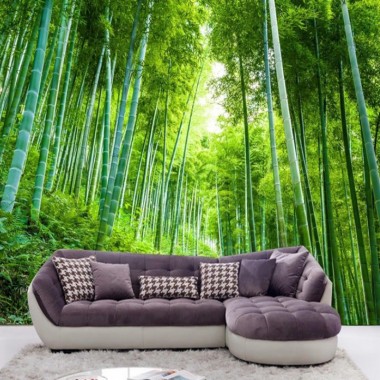 Forest Mural Wallpaper 1024x1024 Download HD Wallpaper WallpaperTip   231 2310761 Forest Mural   