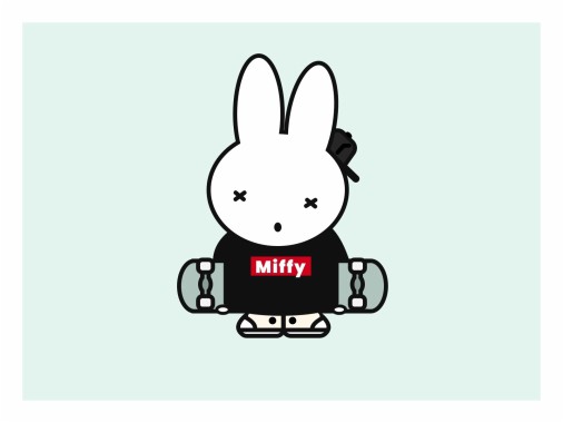 Miffy Wallpaper 1600x10 Download Hd Wallpaper Wallpapertip