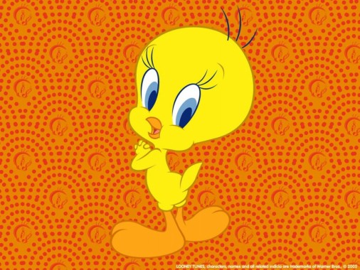 Wallpapers Of Tweety - 1366x1024 - Download HD Wallpaper - WallpaperTip