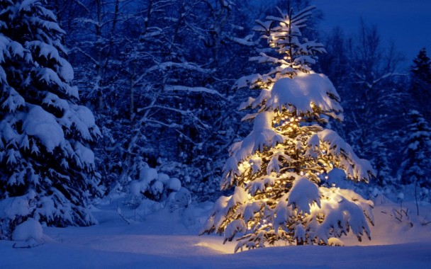 Snow Christmas Wallpaper 4k - 3840x2160 - Download HD Wallpaper ...