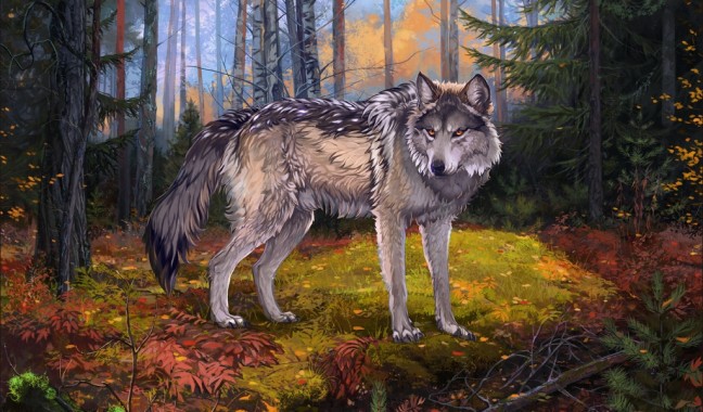 Wallpaper Wolf, Gray, Forest, Wildlife, Art - Wolf Forest Art ...