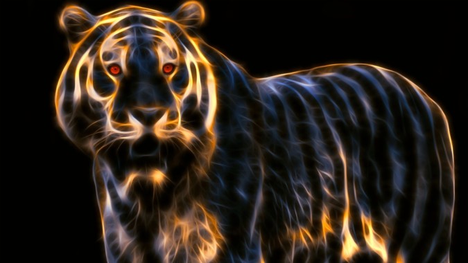 Tigre Fond D Ecran 19x10 Download Hd Wallpaper Wallpapertip