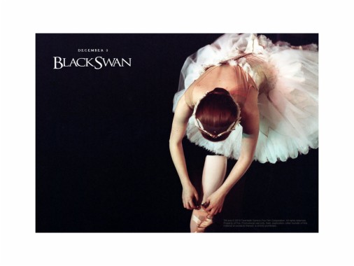 Black Swan Wallpaper Hd - 1022x717 - Download HD Wallpaper - WallpaperTip