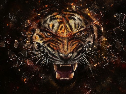 Black Tiger 3d Wallpaper Download Image Num 39