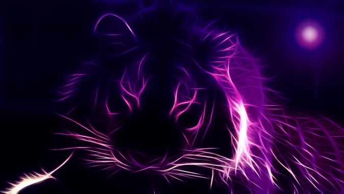 Hintergrundbilder Tiger Neon Imagenes Hd Wallpaper 1366x768 Wallpapertip Neon tapete mit tieren hat ein tolles design und wird sehr schön aussehen und ergänzen. hintergrundbilder tiger neon imagenes