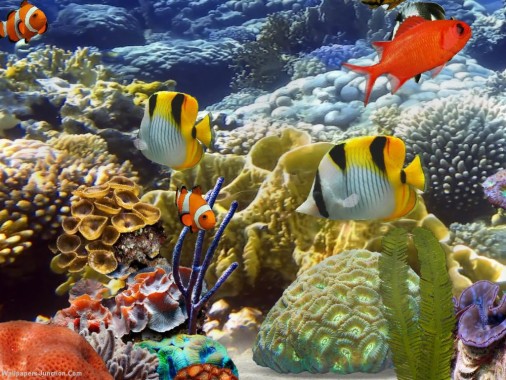 Desktop Aquarium 3d Live Wallpaper Image Num 21