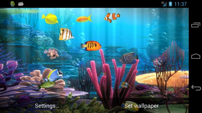 fish swimming live wallpaper for android