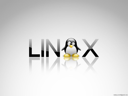 Linux Linuxペンギン壁紙 1024x768 Wallpapertip