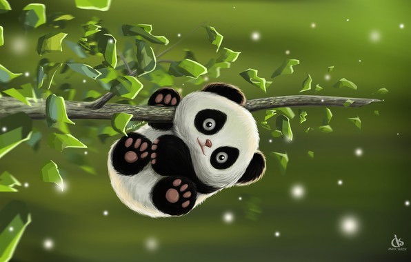 Cute Baby Panda Dp 1024x768 Download Hd Wallpaper Wallpapertip