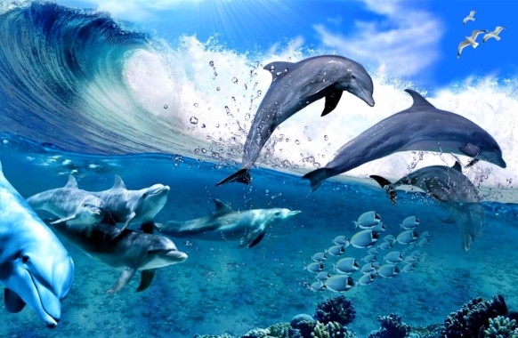 3d Dolphin Hd Live - 1164x760 - Download HD Wallpaper - WallpaperTip